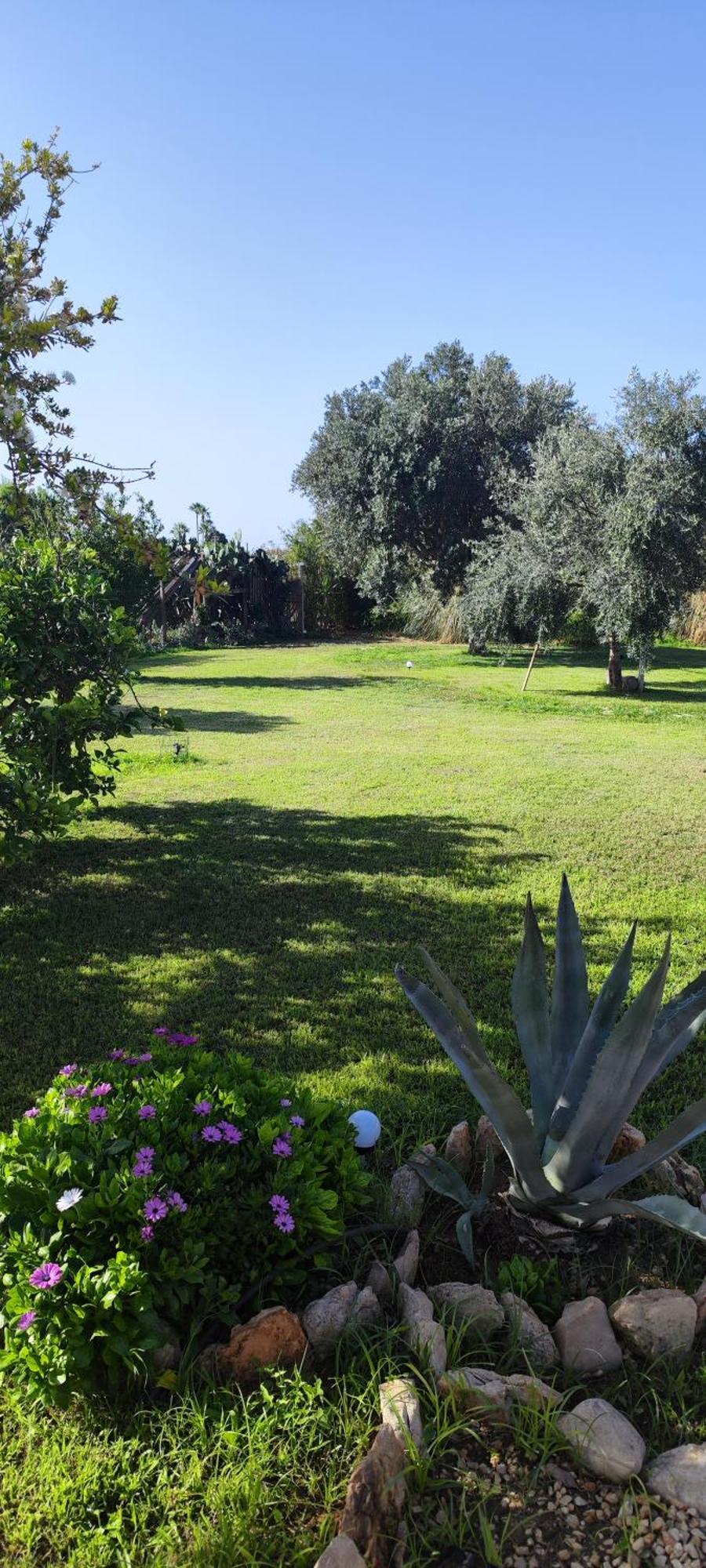 Villa Giummarito B&B Scicli Exterior foto