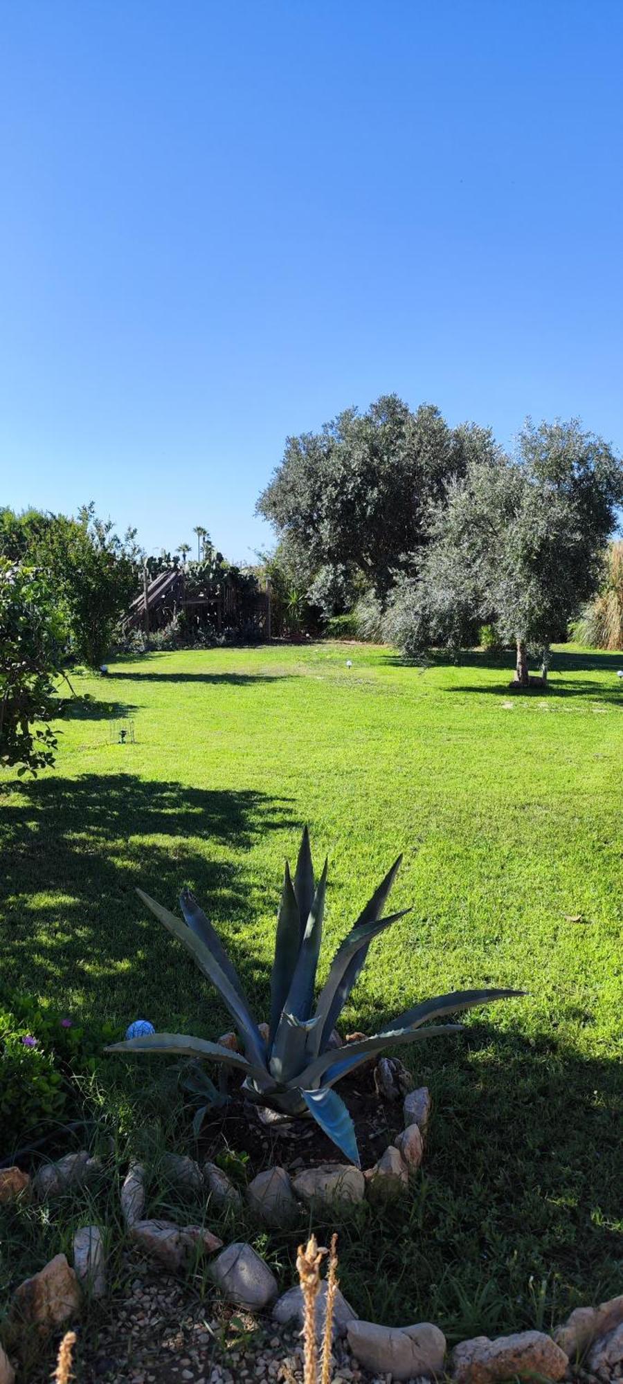 Villa Giummarito B&B Scicli Exterior foto